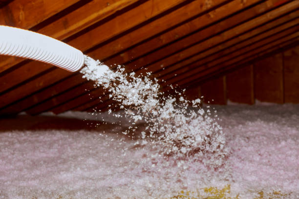 Best Residential Insulation in Naples Park, FL