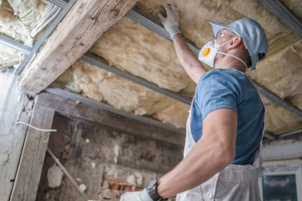 Best Types of Insulation in Naples Park, FL