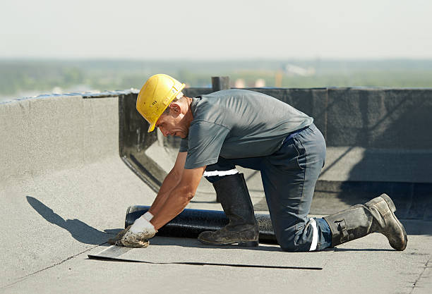 Best Insulation Maintenance and Repair in Naples Park, FL